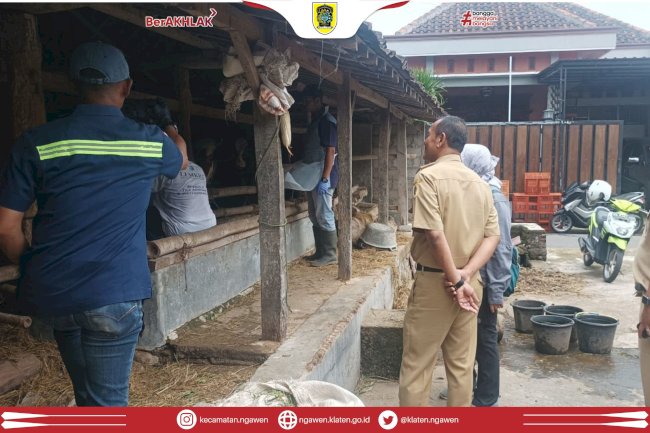 Camat Ngawen Dampingi Vaksin PMK di Desa Senden