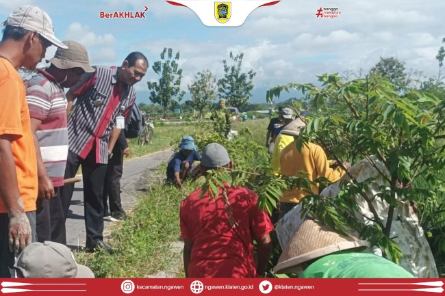 Tikus Merajalela, Warga Desa Kahuman Gelar Aksi Gropyokan Massal