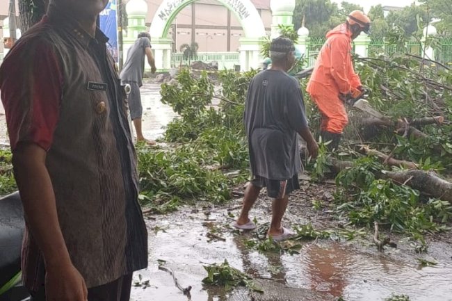 PENANGANAN BENCANA ANGIN LISUS